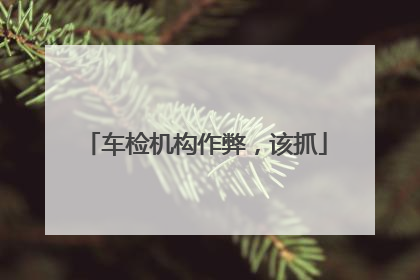 车检机构作弊，该抓