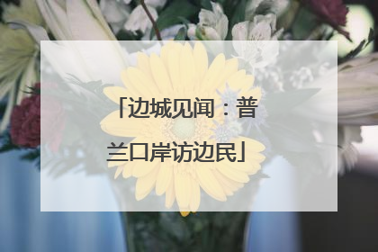 边城见闻：普兰口岸访边民