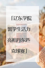 辽东学院留学生活力亮相丹东匹克球赛
