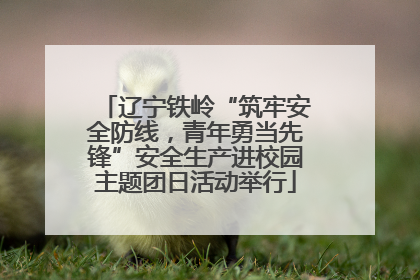 辽宁铁岭“筑牢安全防线，青年勇当先锋”安全生产进校园主题团日活动举行