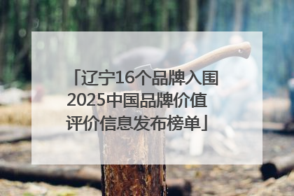 辽宁16个品牌入围2025中国品牌价值评价信息发布榜单