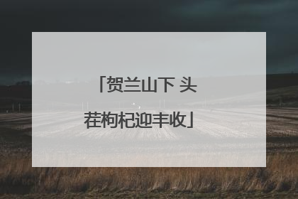 贺兰山下 头茬枸杞迎丰收