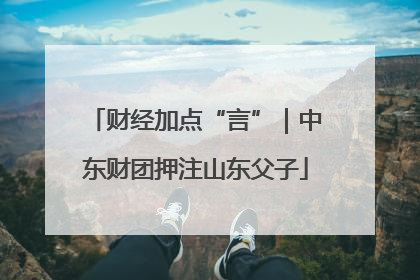 财经加点“言”｜中东财团押注山东父子