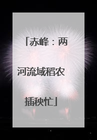赤峰：两河流域稻农插秧忙