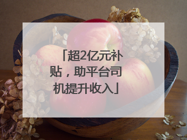 超2亿元补贴，助平台司机提升收入