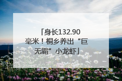 身长132.90毫米！桐乡养出“巨无霸”小龙虾