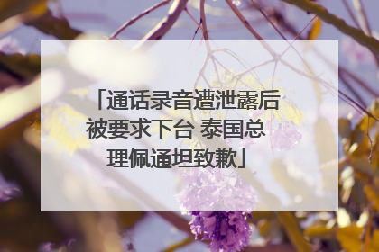 通话录音遭泄露后被要求下台 泰国总理佩通坦致歉