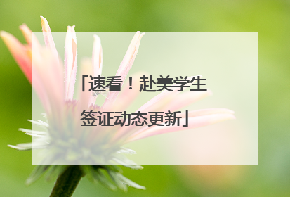 速看！赴美学生签证动态更新