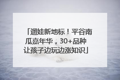 遛娃新地标！平谷南瓜嘉年华，30+品种让孩子边玩边涨知识