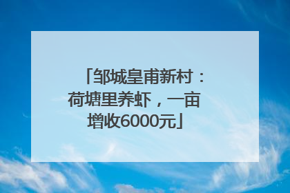 邹城皇甫新村：荷塘里养虾，一亩增收6000元