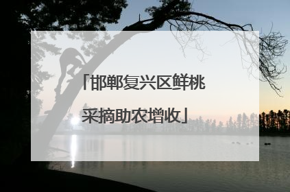 邯郸复兴区鲜桃采摘助农增收