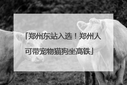 郑州东站入选！郑州人可带宠物猫狗坐高铁