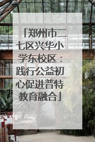 郑州市二七区兴华小学东校区：践行公益初心促进普特教育融合