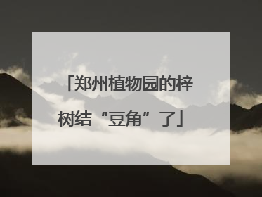 郑州植物园的梓树结“豆角”了