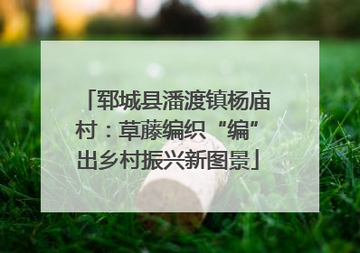 郓城县潘渡镇杨庙村：草藤编织“编”出乡村振兴新图景