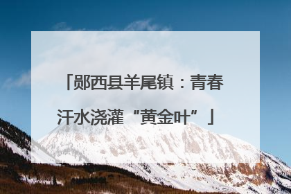 郧西县羊尾镇：青春汗水浇灌“黄金叶”