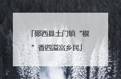 郧西县土门镇“椒”香四溢富乡民