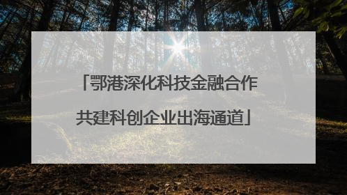 鄂港深化科技金融合作 共建科创企业出海通道