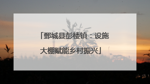 鄄城县彭楼镇：设施大棚赋能乡村振兴