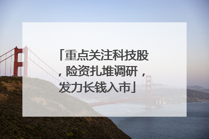 重点关注科技股，险资扎堆调研，发力长钱入市