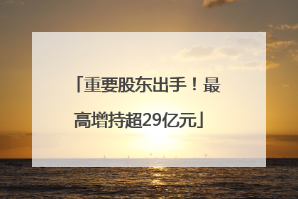 重要股东出手！最高增持超29亿元