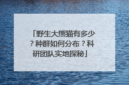 野生大熊猫有多少？种群如何分布？科研团队实地探秘