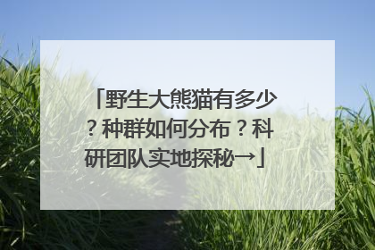 野生大熊猫有多少？种群如何分布？科研团队实地探秘→