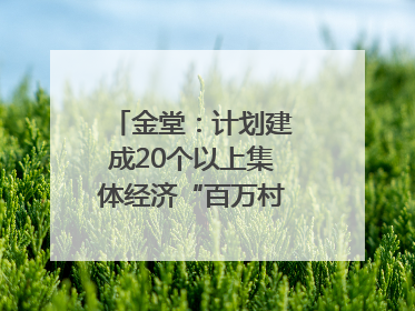 金堂：计划建成20个以上集体经济“百万村”｜成都县市新城高质量发展