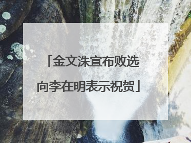金文洙宣布败选 向李在明表示祝贺