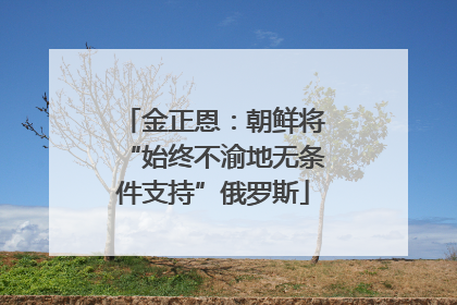 金正恩：朝鲜将“始终不渝地无条件支持”俄罗斯