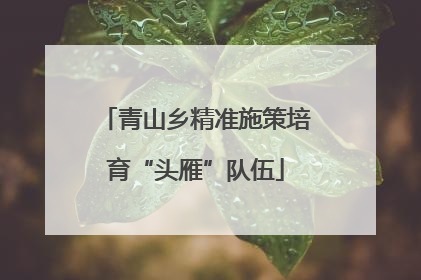 青山乡精准施策培育“头雁”队伍