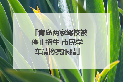 青岛两家驾校被停止招生 市民学车请擦亮眼睛