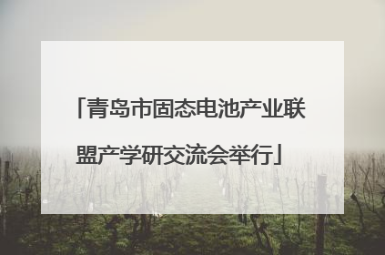 青岛市固态电池产业联盟产学研交流会举行