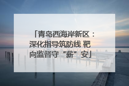 青岛西海岸新区：深化指导筑防线 靶向监督守“薪”安