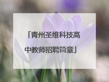 青州圣维科技高中教师招聘简章