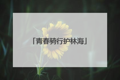 青春骑行护林海