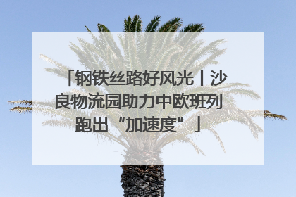 钢铁丝路好风光丨沙良物流园助力中欧班列跑出“加速度”