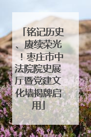 铭记历史、赓续荣光！枣庄市中法院院史展厅暨党建文化墙揭牌启用