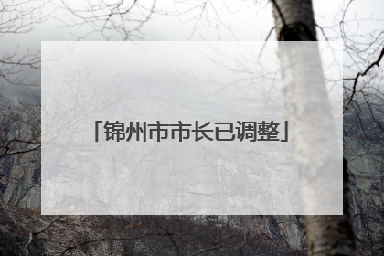 锦州市市长已调整