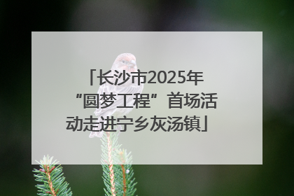 长沙市2025年“圆梦工程”首场活动走进宁乡灰汤镇