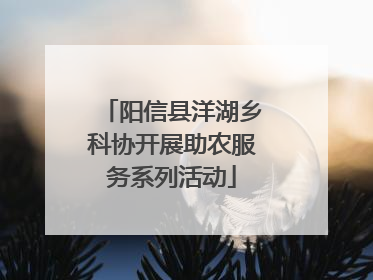阳信县洋湖乡科协开展助农服务系列活动
