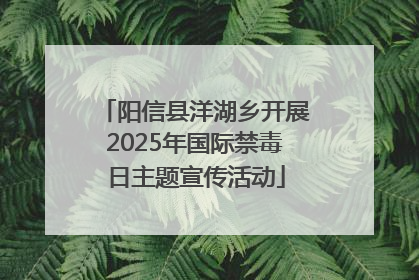 阳信县洋湖乡开展2025年国际禁毒日主题宣传活动