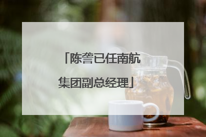 陈詟已任南航集团副总经理
