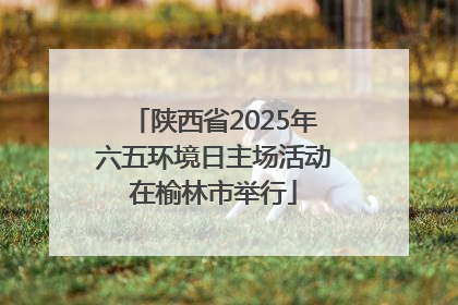 陕西省2025年六五环境日主场活动在榆林市举行