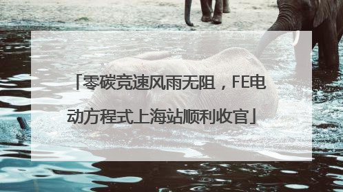 零碳竞速风雨无阻，FE电动方程式上海站顺利收官
