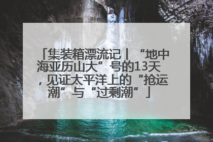 集装箱漂流记丨“地中海亚历山大”号的13天，见证太平洋上的“抢运潮”与“过剩潮”