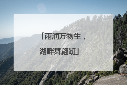 雨润万物生，湖畔舞翩跹