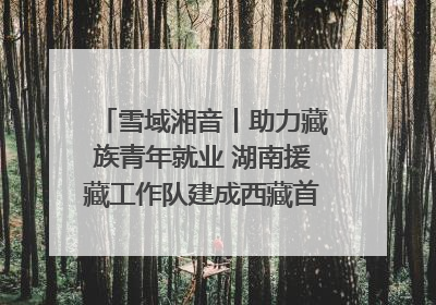 雪域湘音丨助力藏族青年就业 湖南援藏工作队建成西藏首个清洁能源装备园