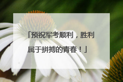 预祝军考顺利，胜利属于拼搏的青春！