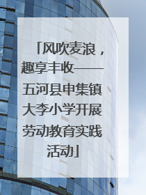 风吹麦浪，趣享丰收——五河县申集镇大李小学开展劳动教育实践活动
